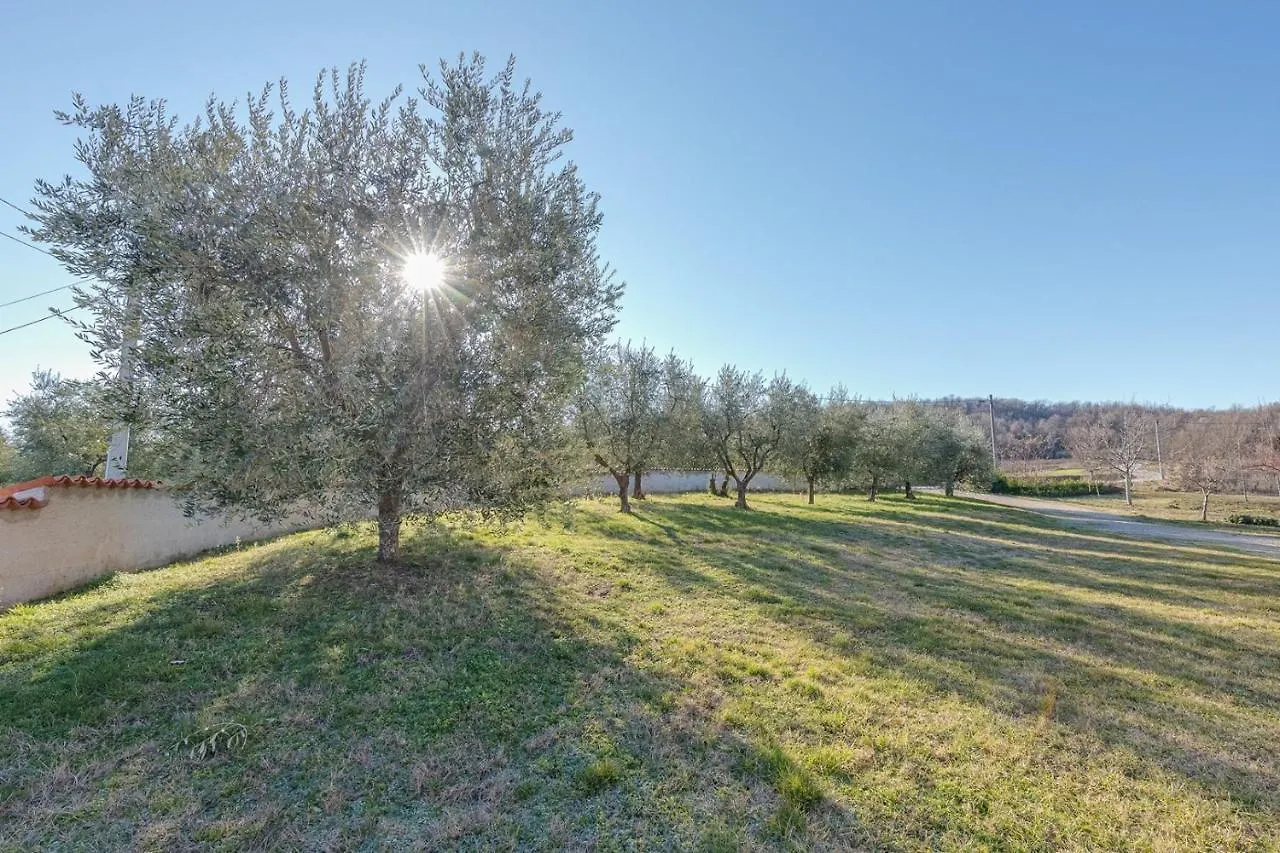 Lavanda Oklen Vižinada
