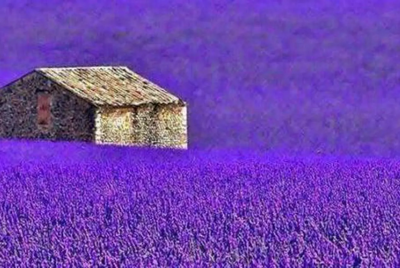 Guest house Lavanda Oklen Vizinada